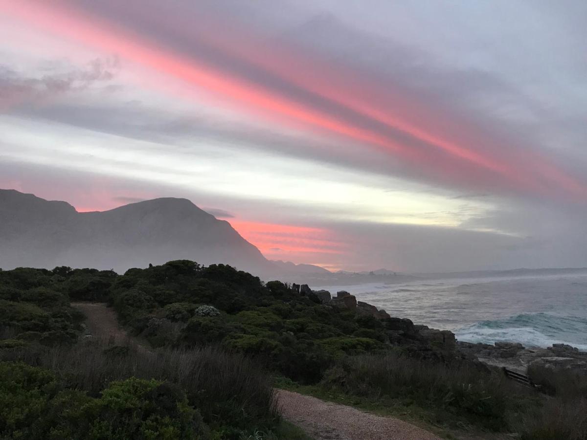 Milkwood Lodge Hermanus Eksteriør billede