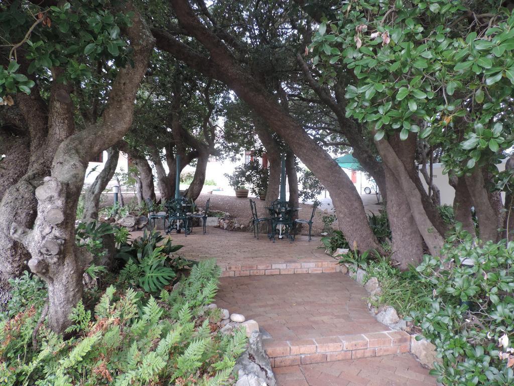 Milkwood Lodge Hermanus Eksteriør billede