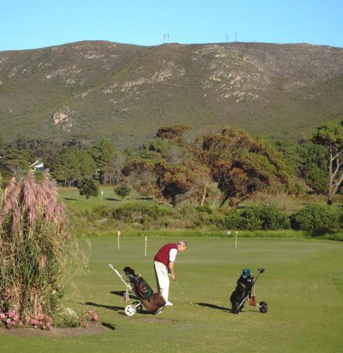 Milkwood Lodge Hermanus Eksteriør billede